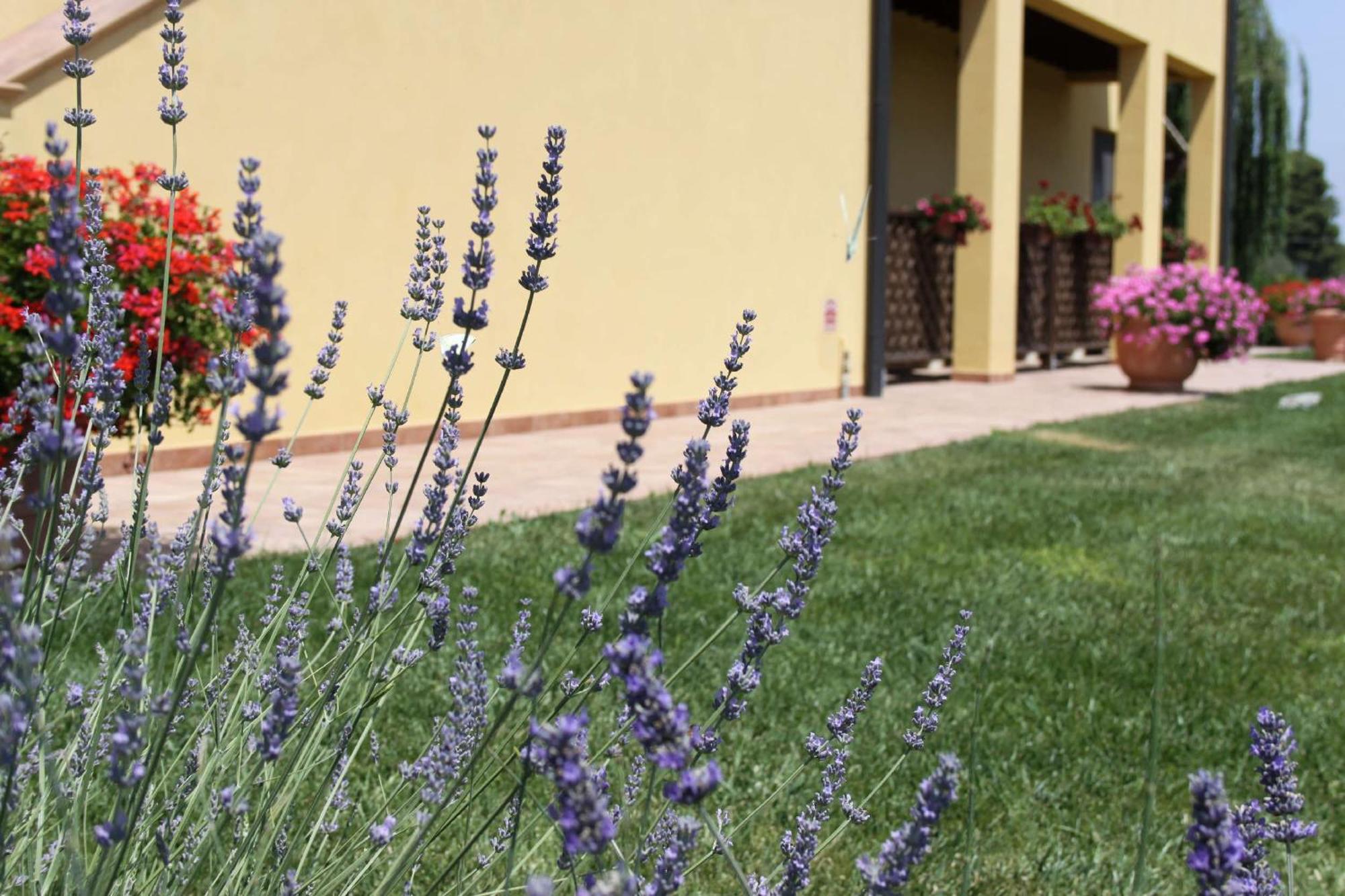 Podere Tre Cipressi Apart otel Campiglia Marittima Dış mekan fotoğraf